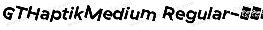 GTHaptikMedium Regular字体转换